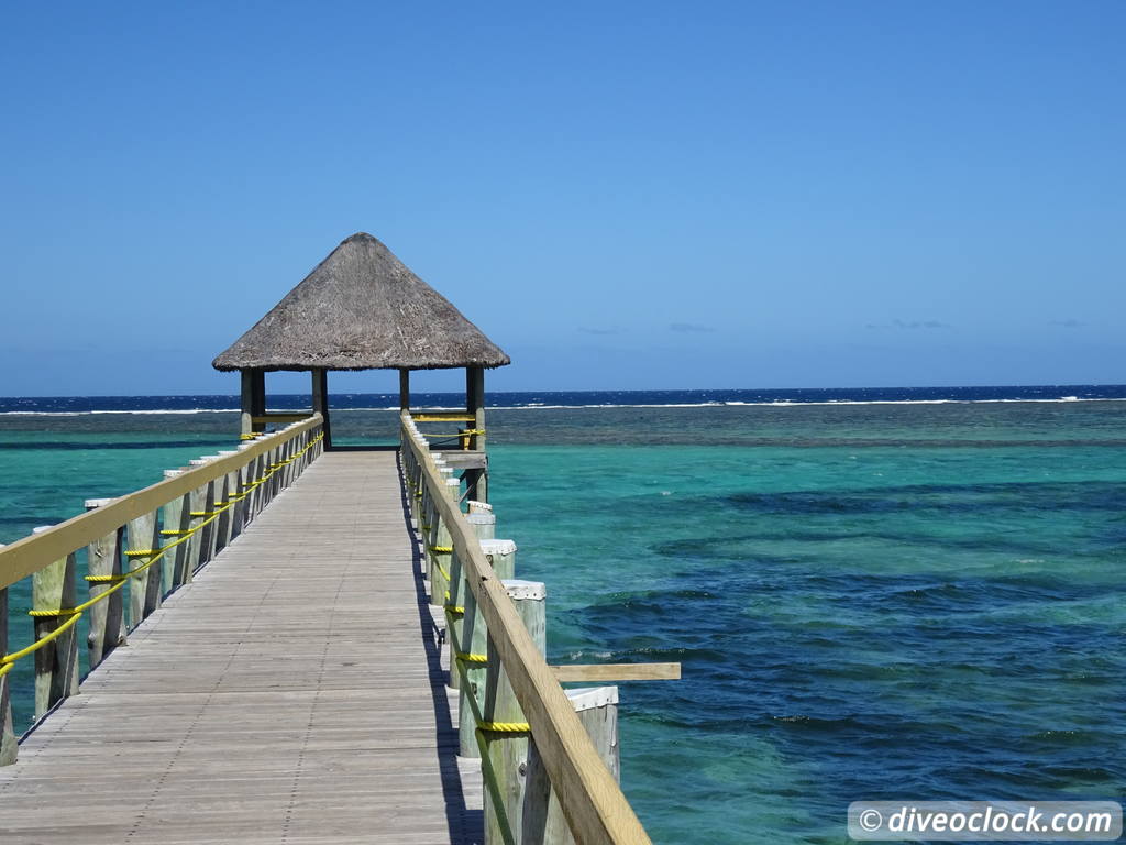 viti_levu_fiji_diveoclock-63.jpg