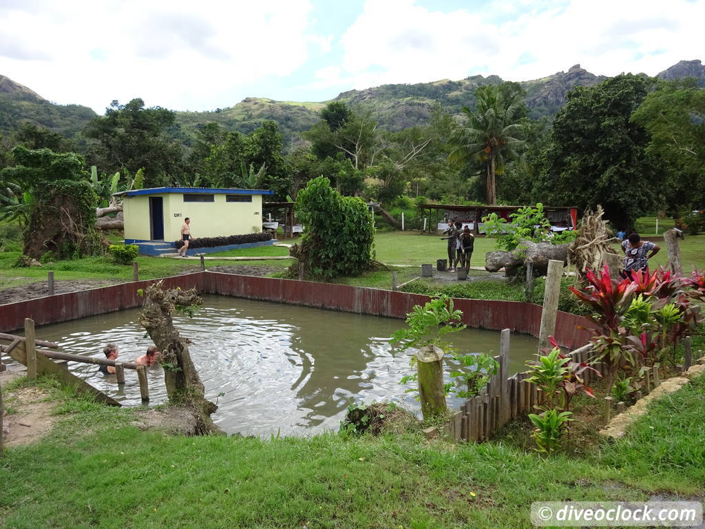 viti_levu_fiji_diveoclock-81.jpg