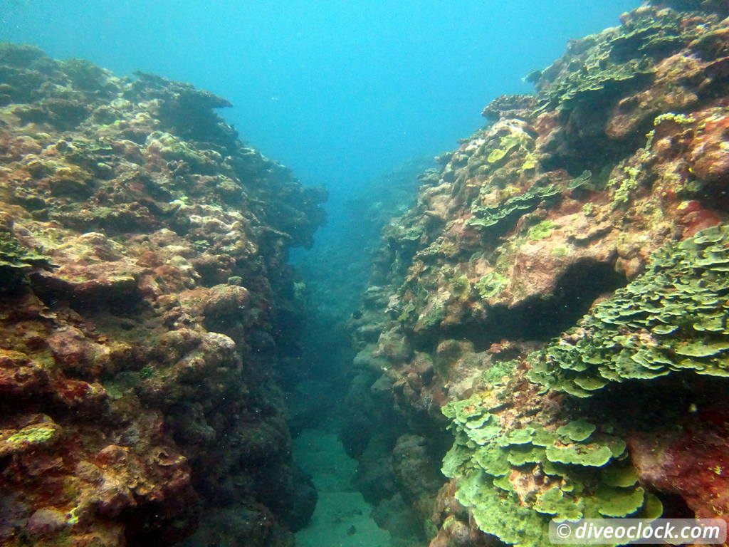 Apia Discovering New Dive Sites in Samoa Samoa Apia 19