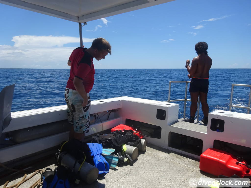 Apia Discovering New Dive Sites in Samoa Samoa Apia 2