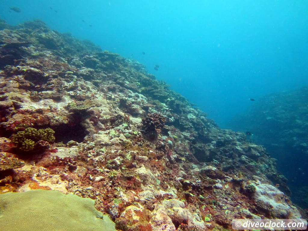 Apia Discovering New Dive Sites in Samoa Samoa Apia 27