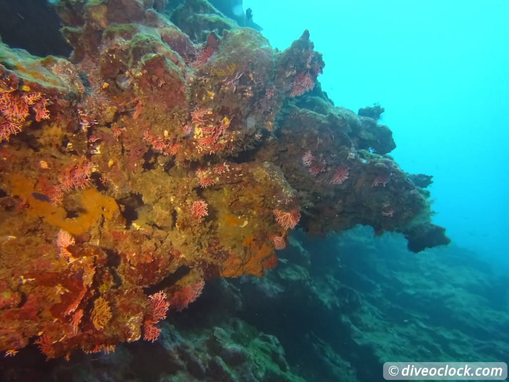 Apia Discovering New Dive Sites in Samoa Samoa Apia 34
