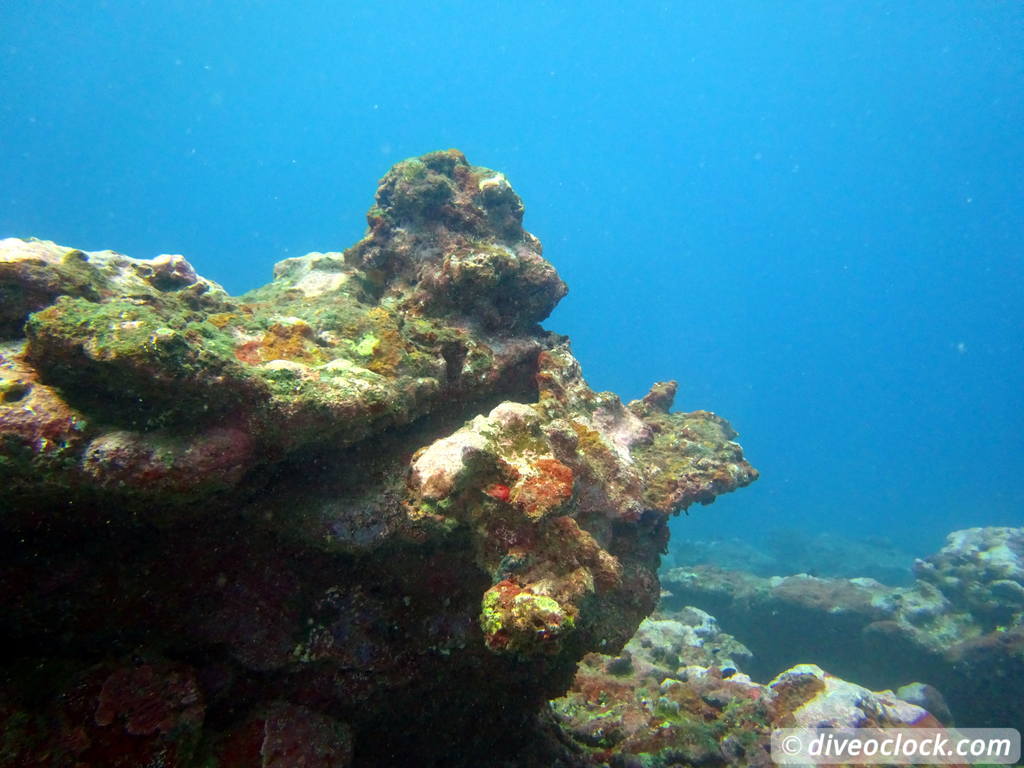 Apia Discovering New Dive Sites in Samoa Samoa Apia 4
