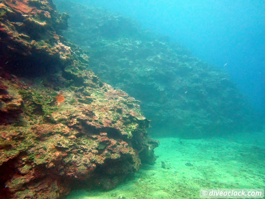 Apia Discovering New Dive Sites in Samoa Samoa Apia 6