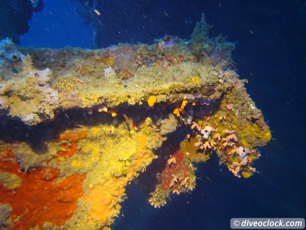 SS President Coolidge The Largest Easy Accessibly Wreck in the World Vanuatu  Vanuatu Ss President Coolidge 11