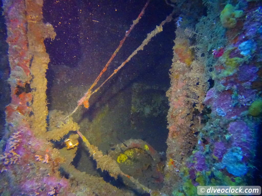 SS President Coolidge The Largest Easy Accessibly Wreck in the World Vanuatu  Vanuatu Ss President Coolidge 13