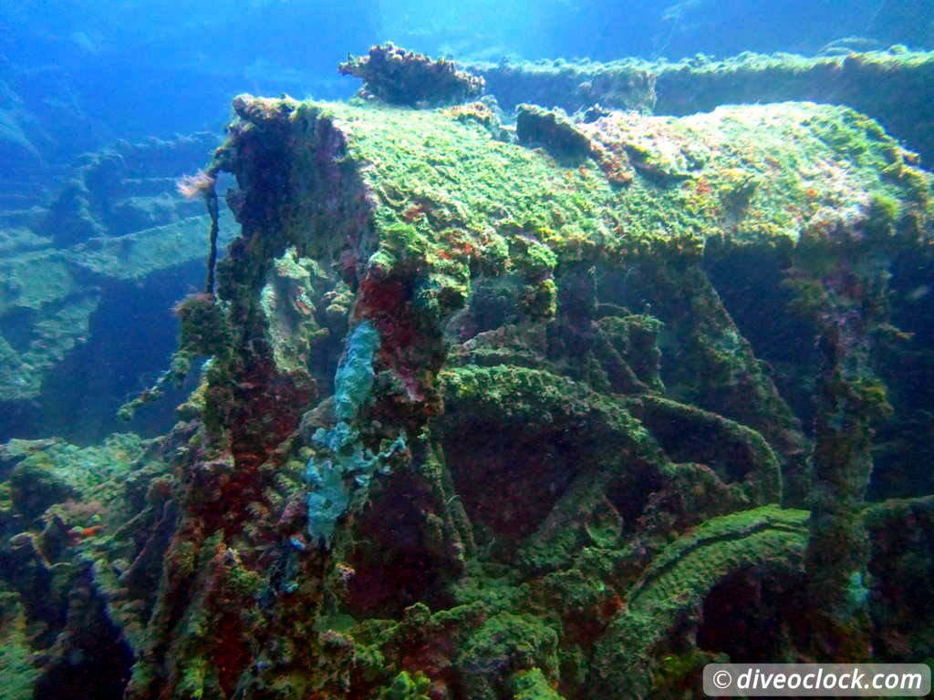 Million Dollar Point Diving in a Huge US Army Dump Yard in Vanuatu  Vanuatu Million Dollar Point 16