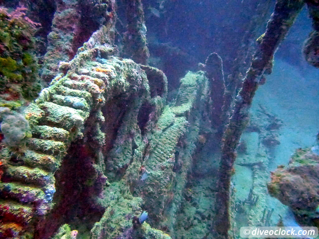 Million Dollar Point Diving in a Huge US Army Dump Yard in Vanuatu  Vanuatu Million Dollar Point 17