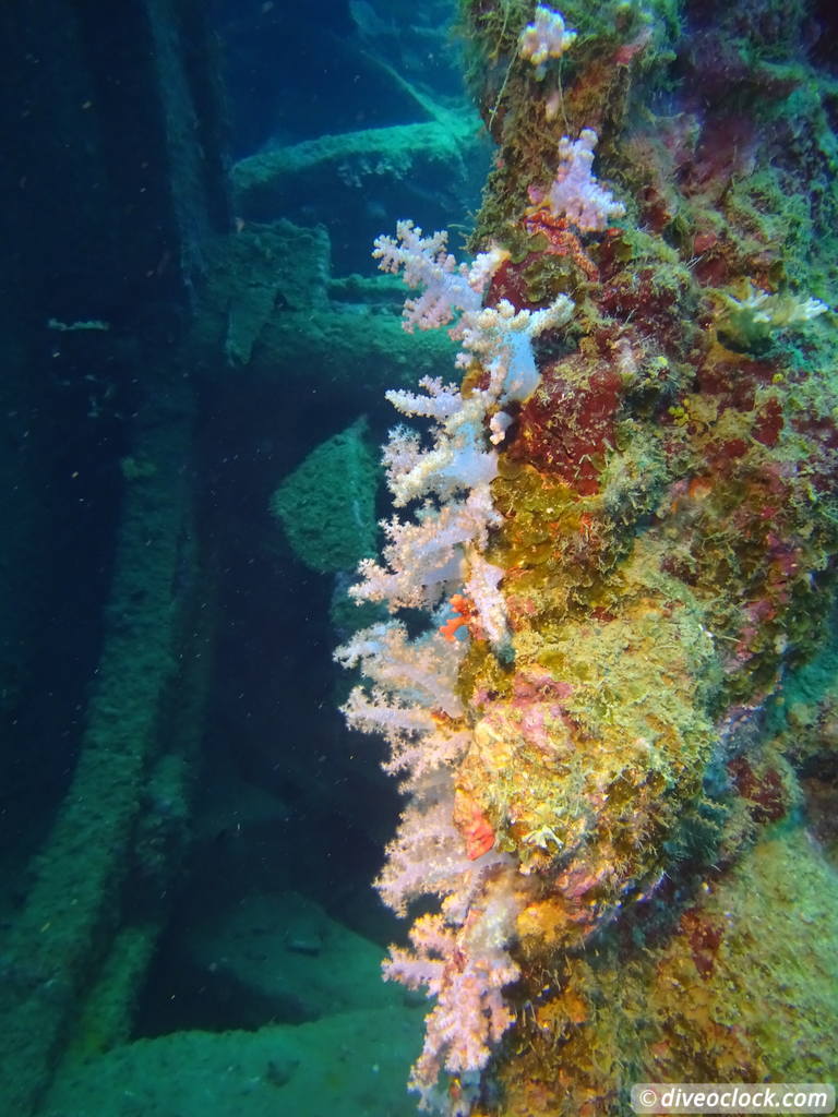 Million Dollar Point Diving in a Huge US Army Dump Yard in Vanuatu  Vanuatu Million Dollar Point 32