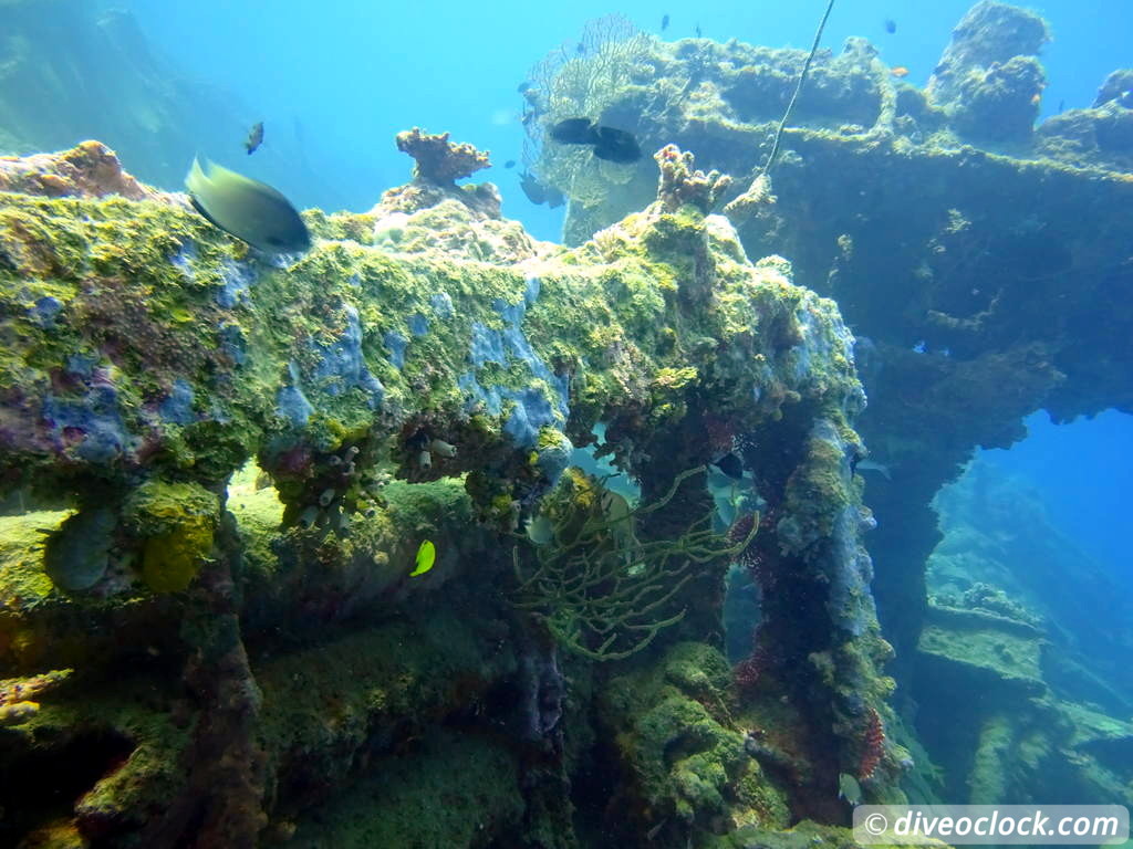 Million Dollar Point Diving in a Huge US Army Dump Yard in Vanuatu  Vanuatu Million Dollar Point 40