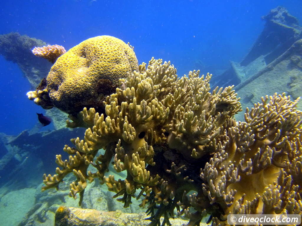 Million Dollar Point Diving in a Huge US Army Dump Yard in Vanuatu  Vanuatu Million Dollar Point 55