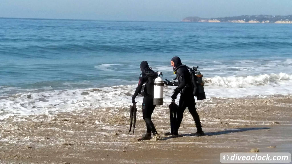 Malibu Kelp Forests and Lobster Diving in California USA  Us California Malibu 54