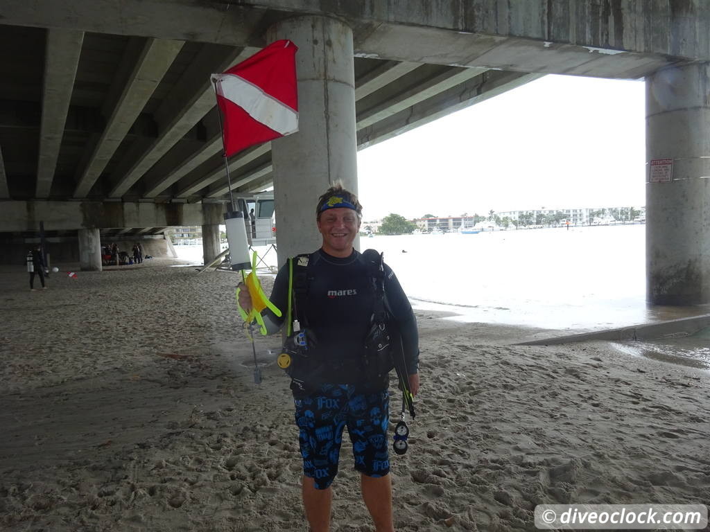 Blue Heron Bridge Awesome Muck Diving in Florida USA  Florida Blueheronbridge 1