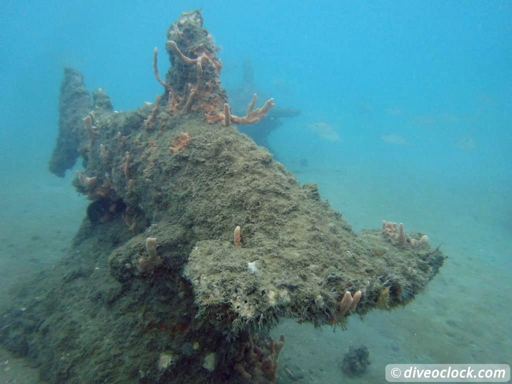 Blue Heron Bridge Awesome Muck Diving in Florida USA  Florida Blueheronbridge 14