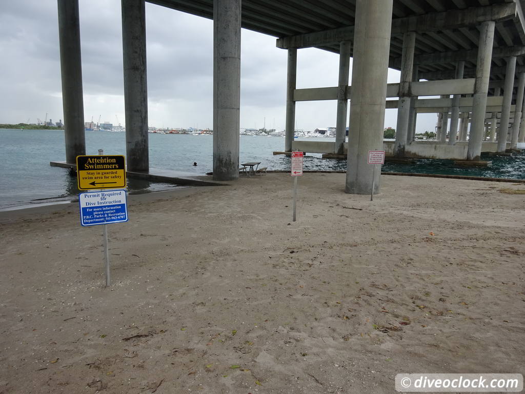 Blue Heron Bridge Awesome Muck Diving in Florida USA  Florida Blueheronbridge 32