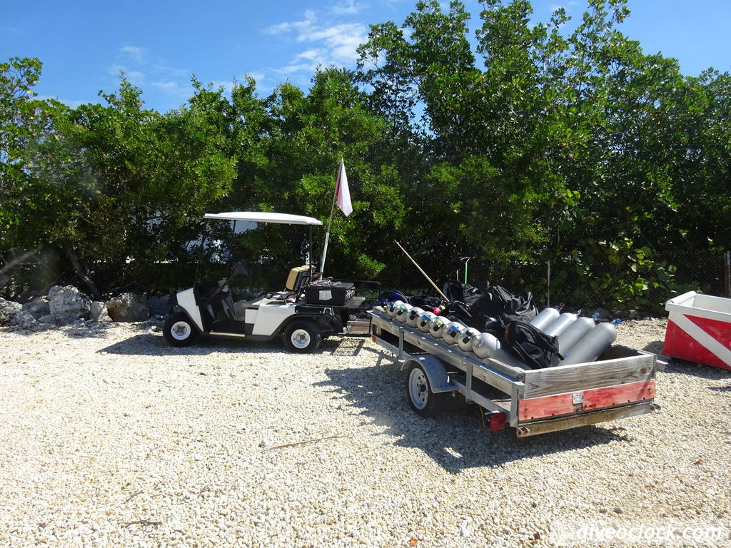 Florida Keys Selecting The Best Dive Area USA  Florida Keys 1