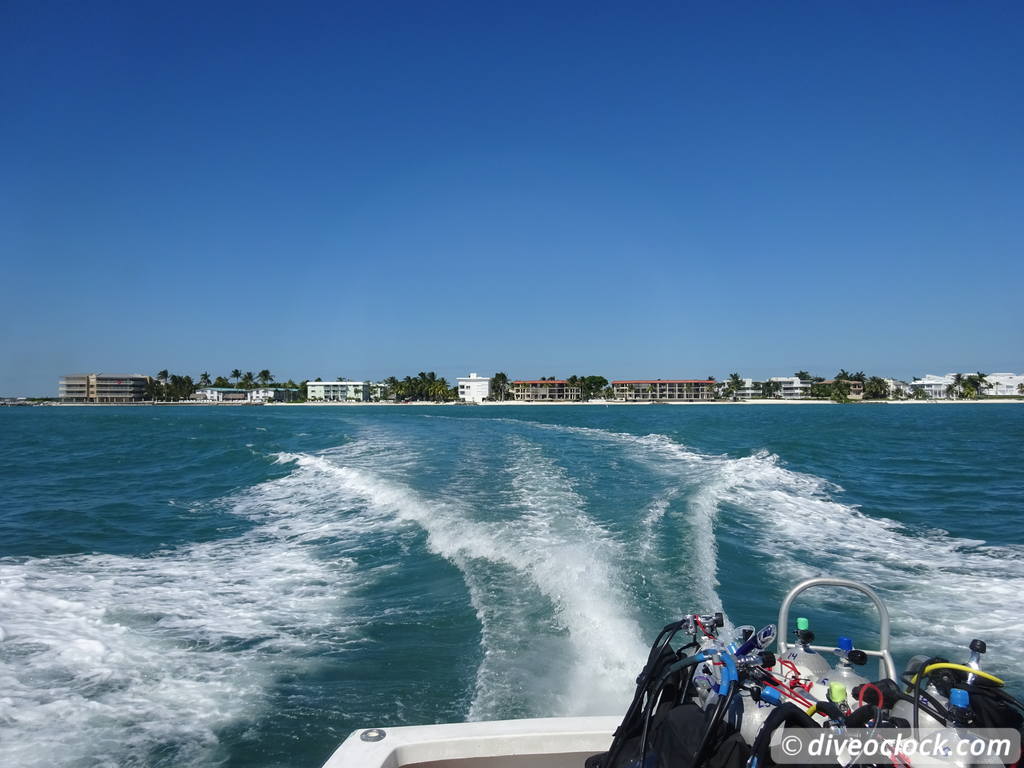Florida Keys Selecting The Best Dive Area USA  Florida Keys 5