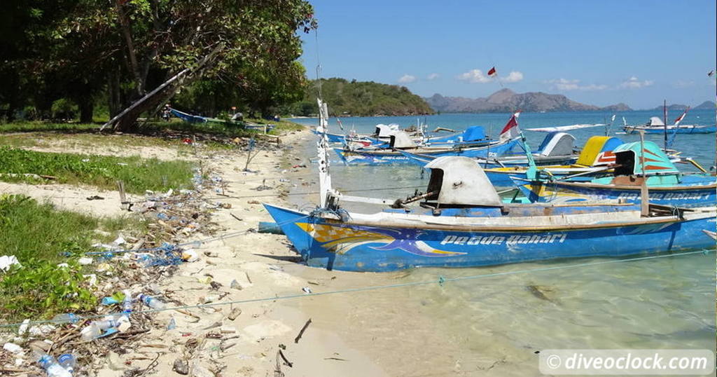 The Binbagchallenge Are You Ready to Show Your Love for The Ocean by Accepting this Challenge Today?  Quiz 11 Breakdown 