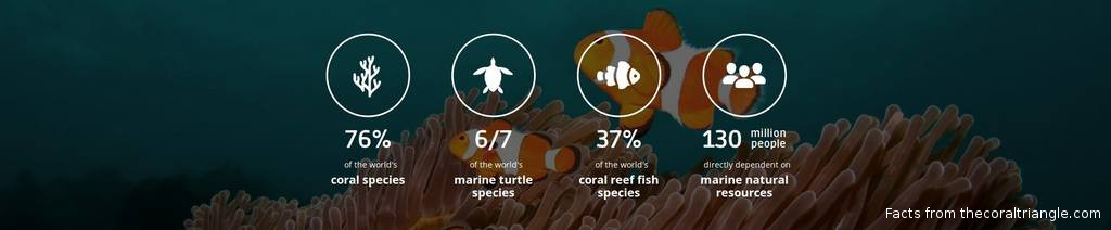 SCUBA QUIZ: Do You Know The Countries of The Coral Triangle? Coraltrianglefacts