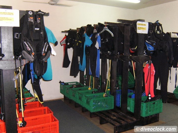 SCUBA QUIZ: What Wetsuit Do You Need? Wetsuits Dive Center Diveoclock