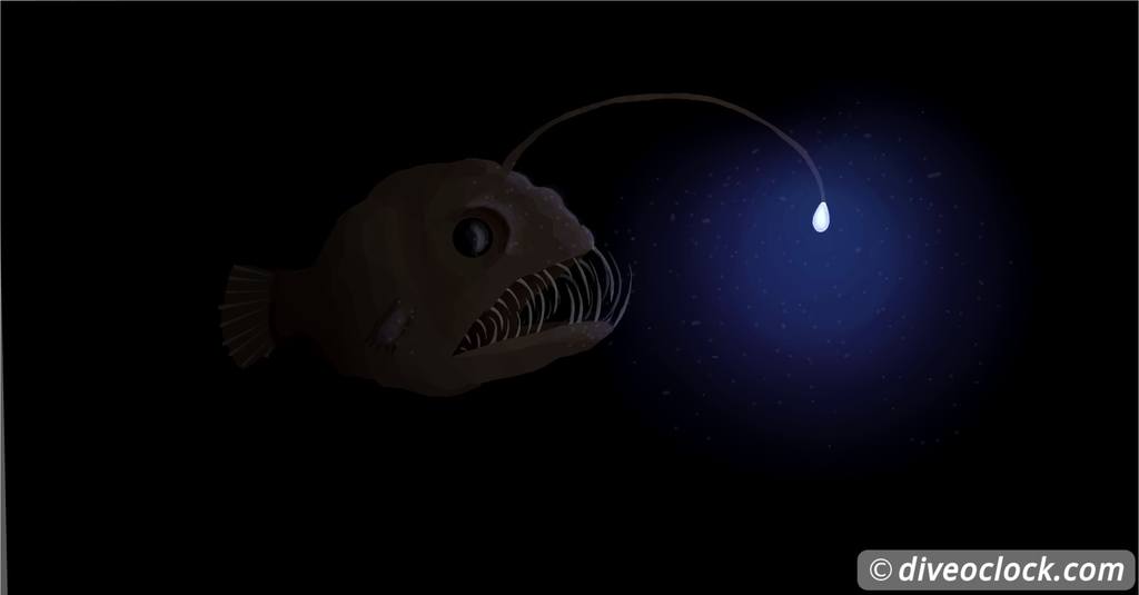 deep sea Anglerfish
