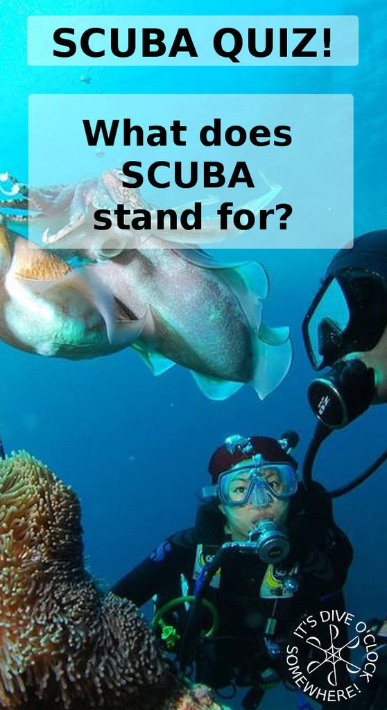 SCUBA QUIZ: What Does SCUBA Mean?