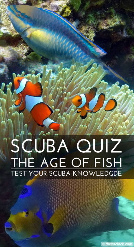 SCUBA QUIZ: What Is The Oldest Fish?