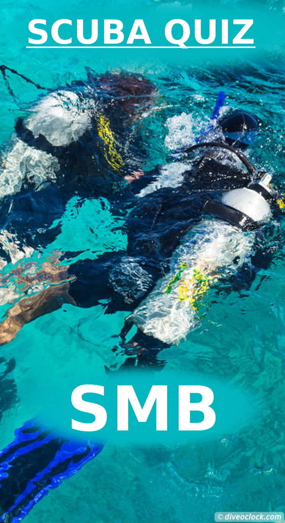 SCUBA QUIZ: Why should you have an SMB?