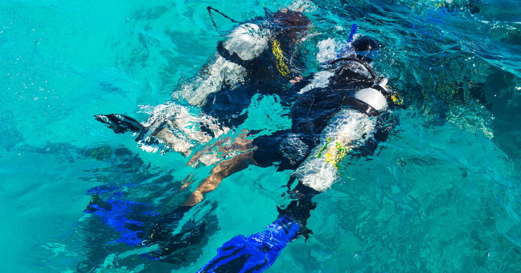 SCUBA QUIZ Why should you have an SMB? Dive O'Clock!