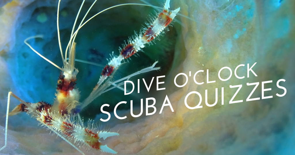 world record scuba diving.jpg