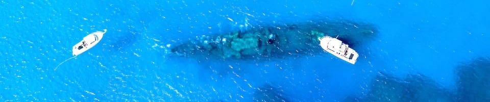 Liveaboard Special Deals and Last Minute Discounts Cayman Islands Liveaboard Diveoclock Scuba Diving1