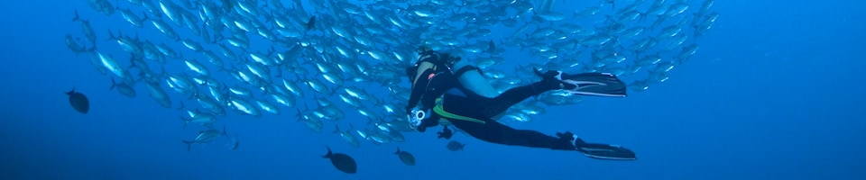 Liveaboard Special Deals and Last Minute Discounts Solomon Islands Liveaboard Diveoclock Scuba Diving1